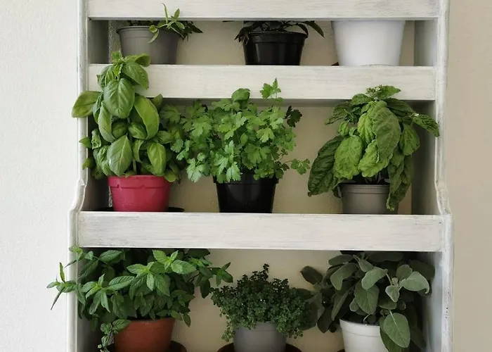 Сasa de vacaciones Marchese *